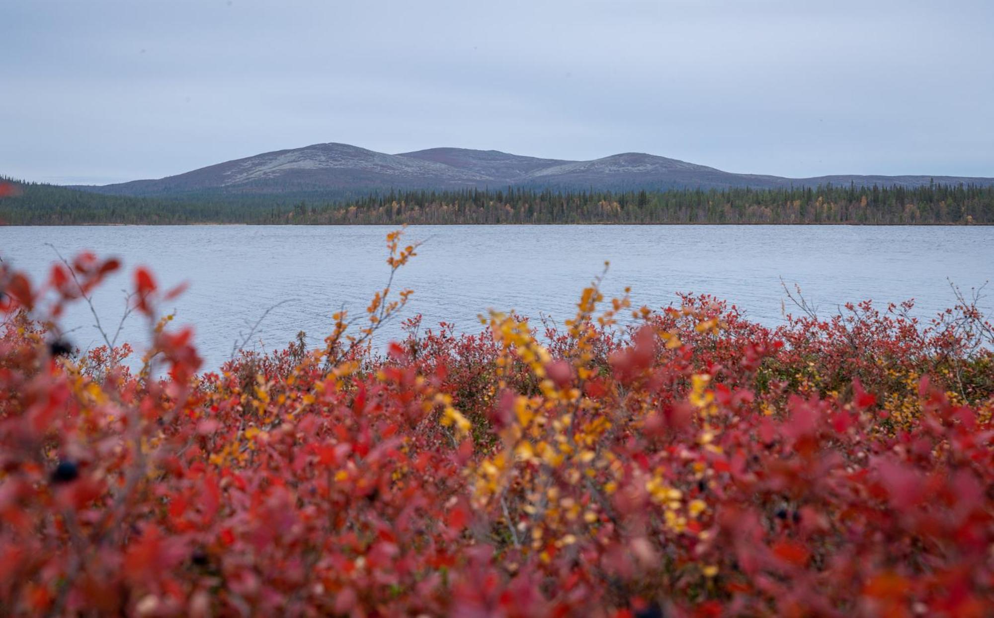 Fell Centre Kiilopaeae, Hotelli Niilanpaeae Saariselkä Exteriör bild