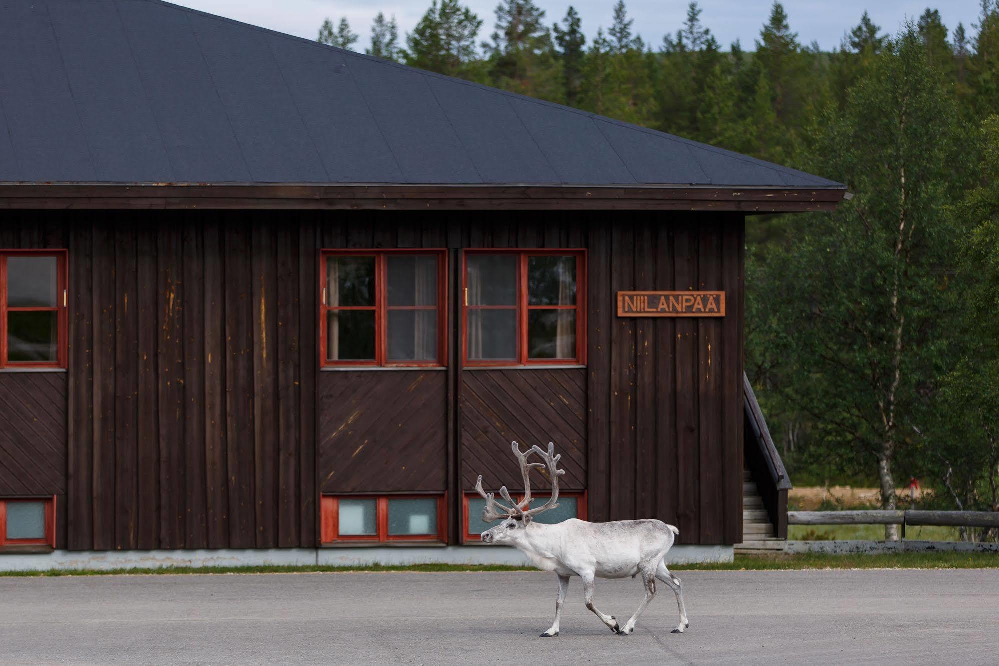 Fell Centre Kiilopaeae, Hotelli Niilanpaeae Saariselkä Exteriör bild